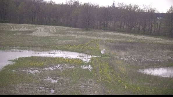 capture-12-22-05-06_20-14-14-30