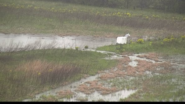 capture-13-22-05-06_08-48-57-31