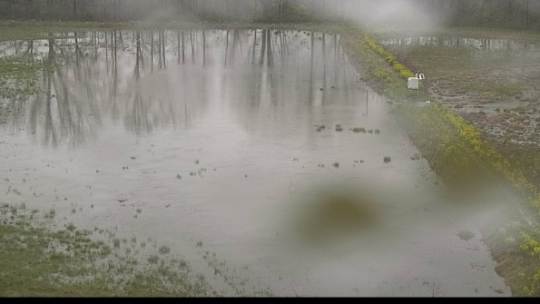 capture-14-22-05-06_07-47-05-39