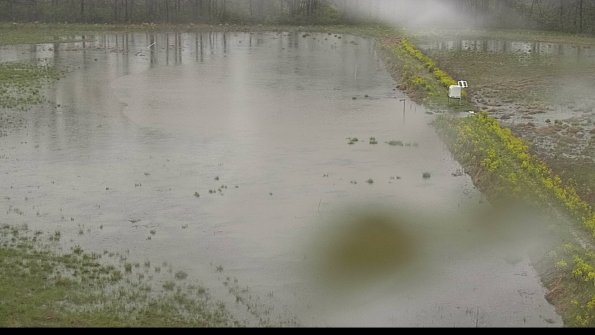 capture-14-22-05-06_08-49-26-44