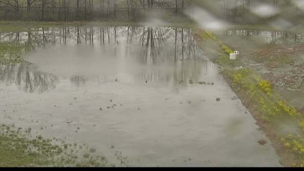 capture-14-22-05-06_11-56-28-37