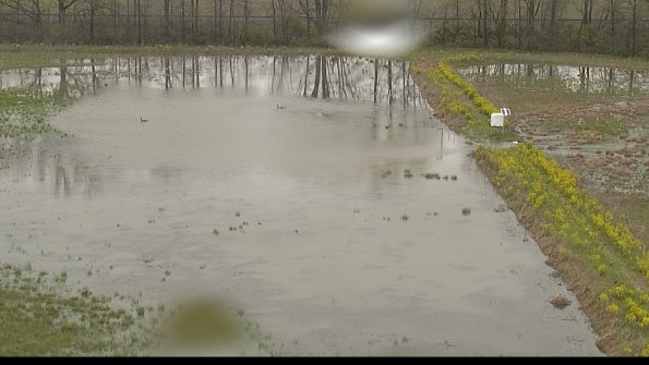 capture-14-22-05-06_12-58-48-45