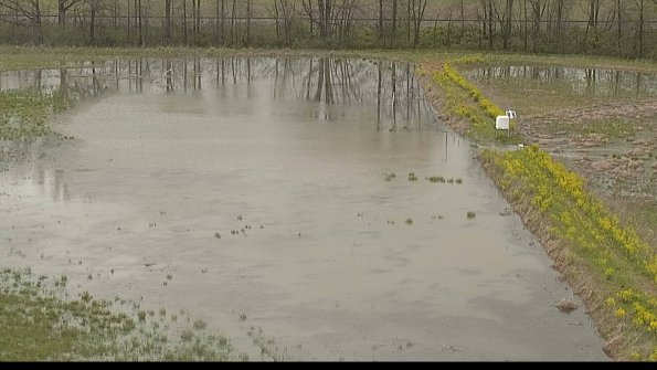 capture-14-22-05-06_15-03-29-66