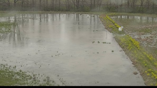 capture-14-22-05-06_16-05-48-51