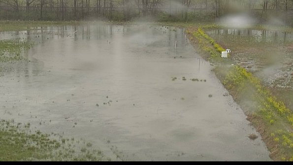 capture-14-22-05-06_17-08-09-40