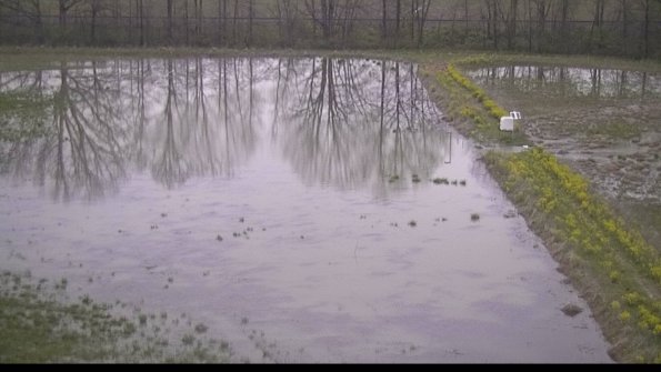 capture-14-22-05-06_20-15-10-36