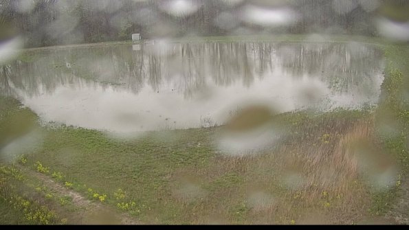 capture-15-22-05-06_07-47-20-17