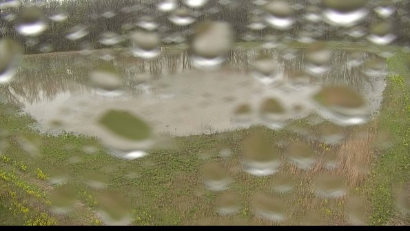 capture-15-22-05-06_11-56-42-35