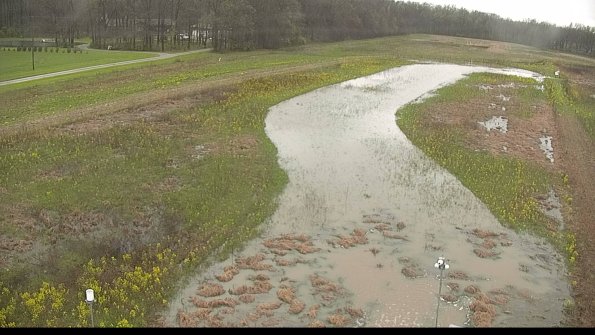 capture-3-22-05-06_11-55-19-23