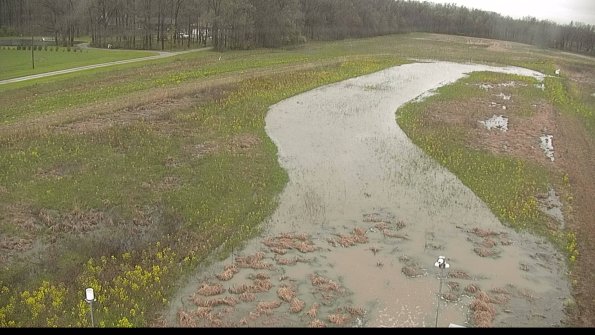 capture-3-22-05-06_12-57-39-22