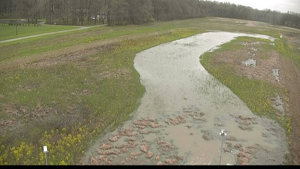 capture-3-22-05-06_14-00-00-27