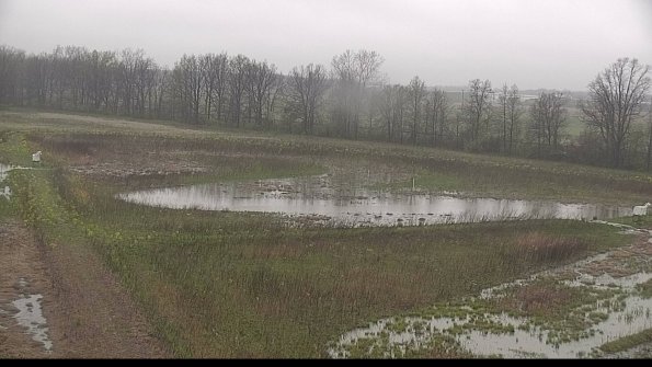 capture-4-22-05-06_07-46-22-55