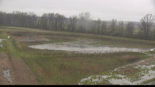 capture-4-22-05-06_08-48-43-43