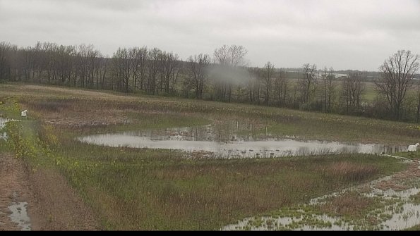 capture-4-22-05-06_10-53-25-34