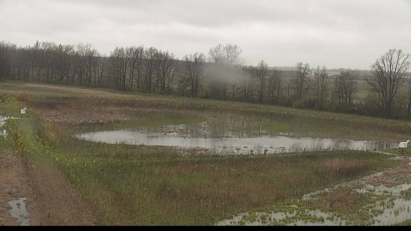 capture-4-22-05-06_11-55-45-33