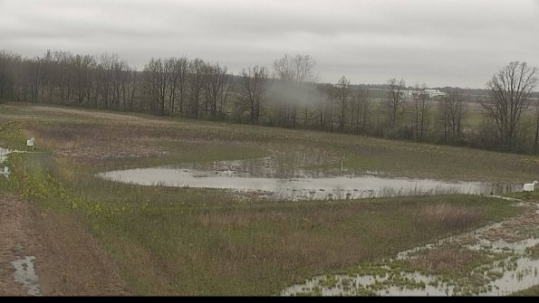 capture-4-22-05-06_13-10-43-77