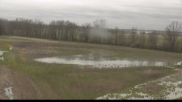 capture-4-22-05-06_15-02-46-89