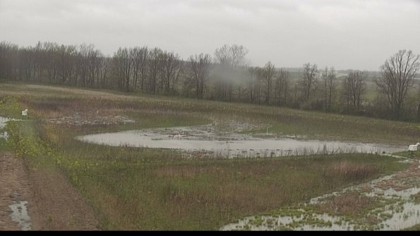 capture-4-22-05-06_17-07-26-29