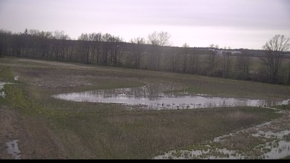 capture-4-22-05-06_20-14-27-65