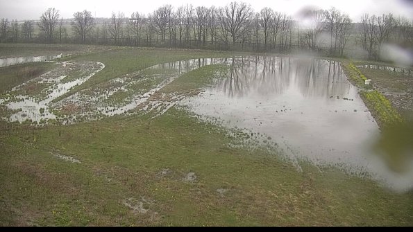 capture-6-22-05-06_07-46-51-34