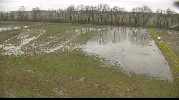 capture-6-22-05-06_10-53-53-43