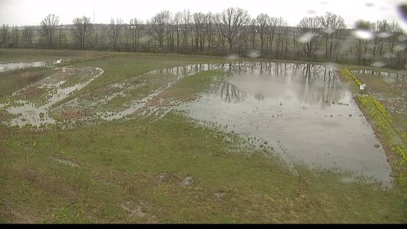 capture-6-22-05-06_11-56-14-35