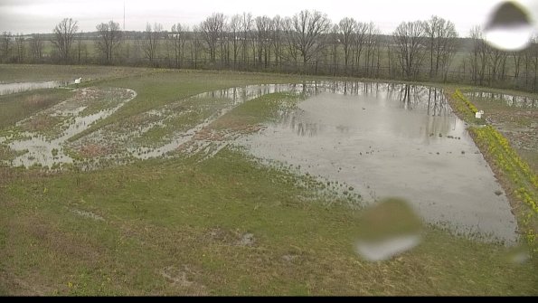 capture-6-22-05-06_12-58-34-47