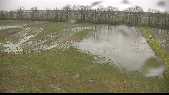 capture-6-22-05-06_18-10-15-57