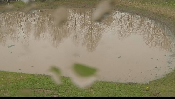 capture-8-22-05-06_10-52-44-13