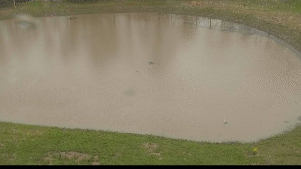 capture-8-22-05-06_15-36-04-54