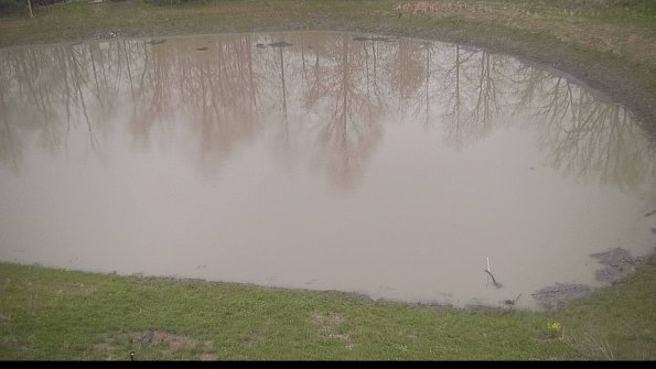 capture-8-22-05-06_20-13-46-17