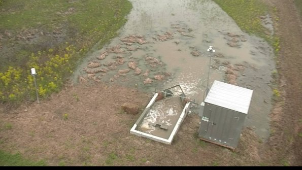 capture-9-22-05-06_14-01-38-17