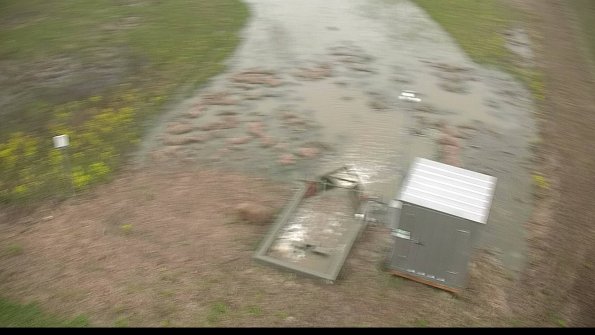 capture-9-22-05-06_16-06-17-48