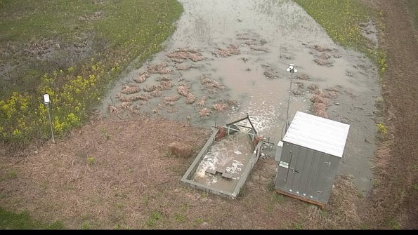 capture-9-22-05-06_19-13-18-50