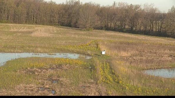 capture-12-22-05-08_07-33-46-37