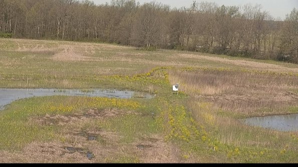 capture-12-22-05-08_09-38-27-38