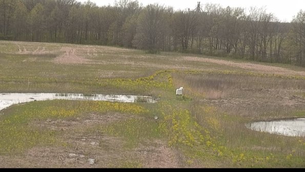 capture-12-22-05-08_15-52-32-26