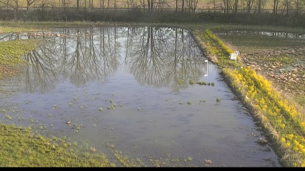 capture-14-22-05-08_07-34-42-49