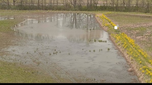 capture-14-22-05-08_14-51-06-36