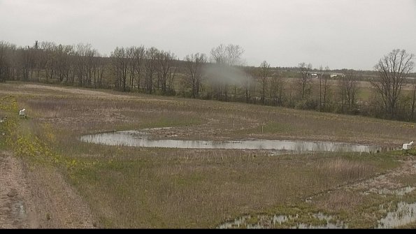 capture-4-22-05-08_14-50-24-48