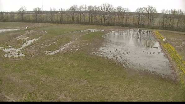 capture-6-22-05-08_16-55-34-40