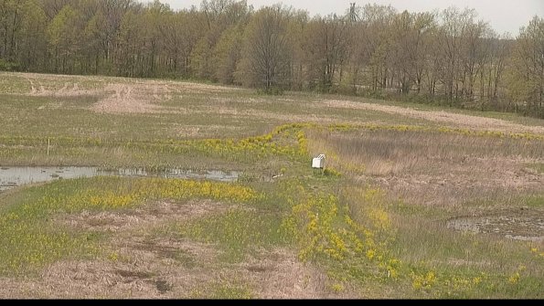 capture-12-22-05-10_12-33-17-35