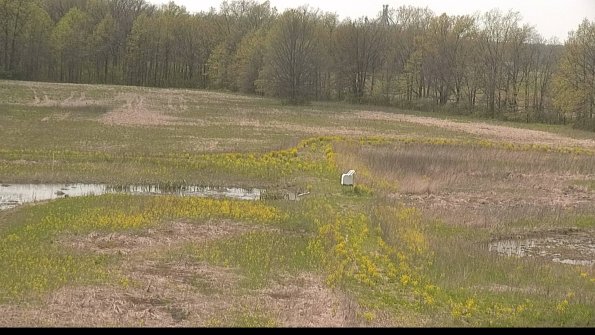 capture-12-22-05-10_14-37-58-60