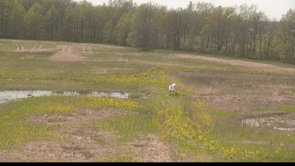 capture-12-22-05-10_15-40-18-45