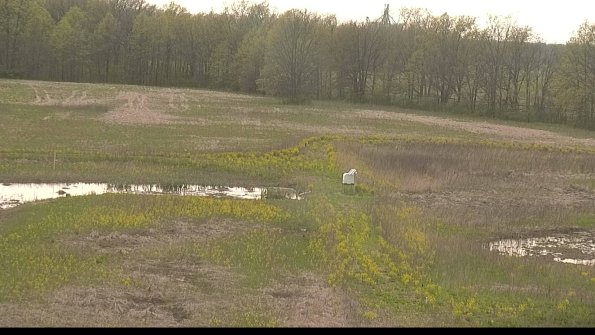 capture-12-22-05-10_17-45-00-23