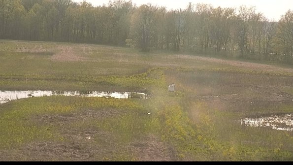 capture-12-22-05-10_18-47-20-22