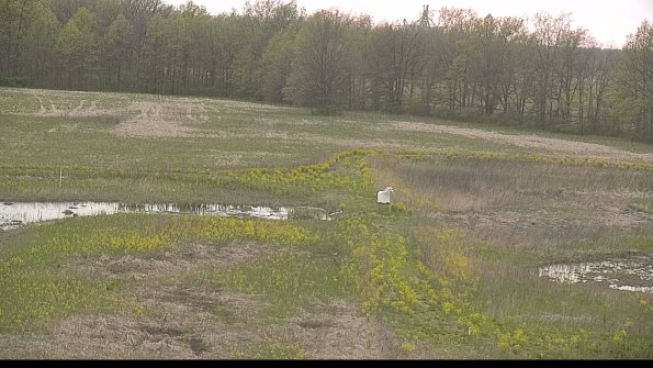 capture-12-22-05-10_19-49-40-28