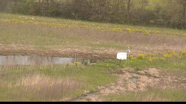 capture-13-22-05-10_08-24-21-45