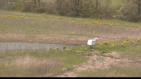 capture-13-22-05-10_12-33-44-31