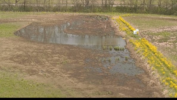 capture-14-22-05-10_11-31-52-72